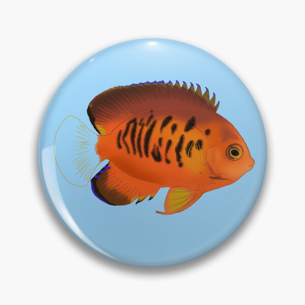 Item preview, True Shephard Dwarf Angelfish designed and sold by Copperbora.