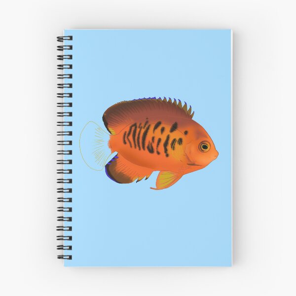 Item preview, True Shephard Dwarf Angelfish designed and sold by Copperbora.