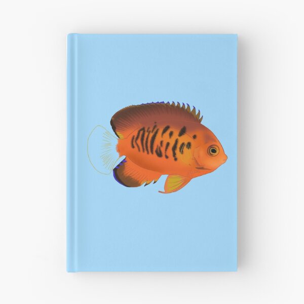 Item preview, True Shephard Dwarf Angelfish designed and sold by Copperbora.
