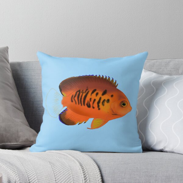 Item preview, True Shephard Dwarf Angelfish designed and sold by Copperbora.
