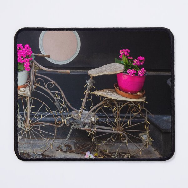 Item preview, Vintage Decorative Bicycle Planter With Bright Pink Flowers Against Dark Wall Street Display designed and sold by Nmallia.