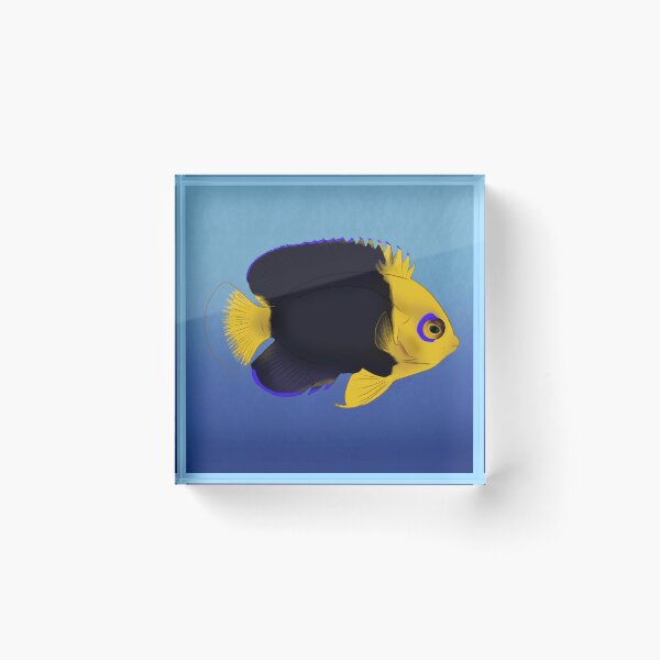 Item preview, Joculator Angelfish designed and sold by Copperbora.
