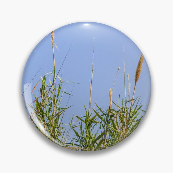Item preview, Pampas Grass And Tall Reeds Against A Clear Blue Sky In Serene Natural Landscape designed and sold by Nmallia.