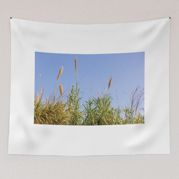 Item preview, Pampas Grass And Tall Reeds Against A Clear Blue Sky In Serene Natural Landscape designed and sold by Nmallia.