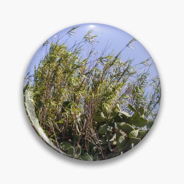 Item preview, Pampas Grass And Tall Reeds Against A Clear Blue Sky In Serene Natural Landscape designed and sold by Nmallia.