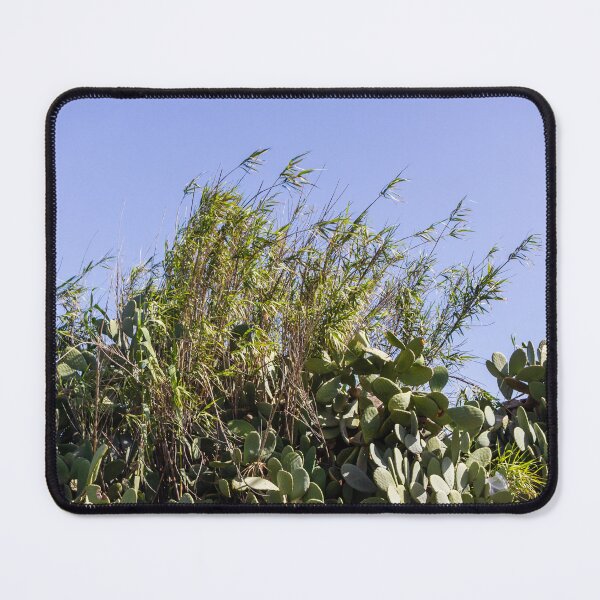 Item preview, Pampas Grass And Tall Reeds Against A Clear Blue Sky In Serene Natural Landscape designed and sold by Nmallia.