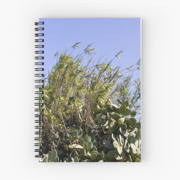Item preview, Pampas Grass And Tall Reeds Against A Clear Blue Sky In Serene Natural Landscape designed and sold by Nmallia.