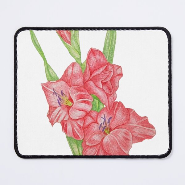 Item preview, Red Gladiolus botanical colored Pencil floral designed and sold by calmcolourprint.