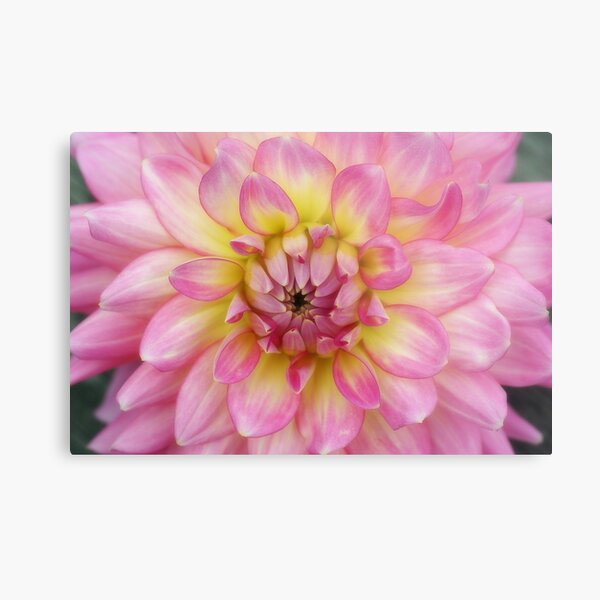 Welcome To My World Metal Print