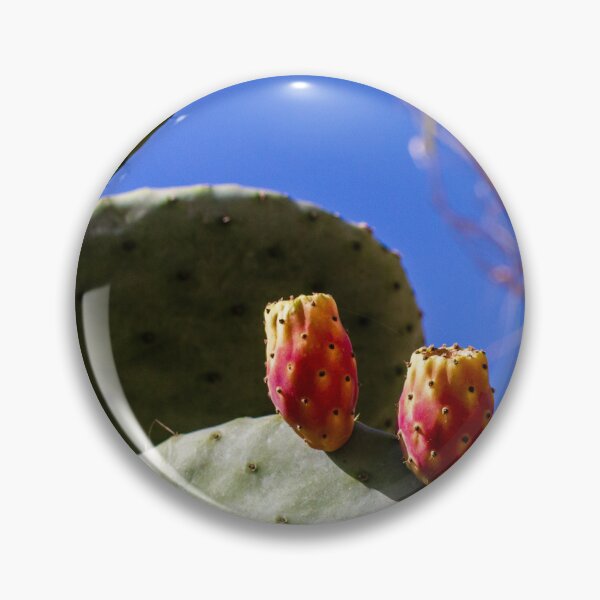 Item preview, Prickly Pear Cactus With Ripe Fruit Against Clear Blue Sky In Sunny Desert Landscape designed and sold by Nmallia.