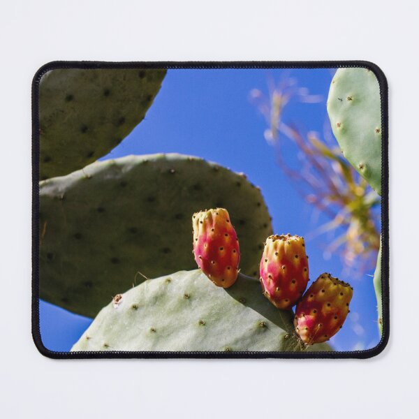 Item preview, Prickly Pear Cactus With Ripe Fruit Against Clear Blue Sky In Sunny Desert Landscape designed and sold by Nmallia.
