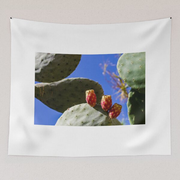 Item preview, Prickly Pear Cactus With Ripe Fruit Against Clear Blue Sky In Sunny Desert Landscape designed and sold by Nmallia.