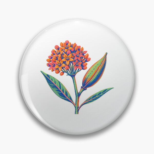 Item preview, Butterfly Weed Seedpod designed and sold by The-Art-of-D.