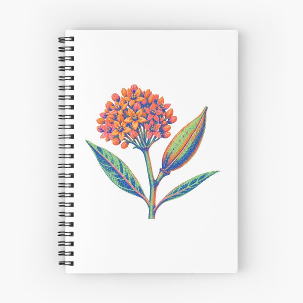 Item preview, Butterfly Weed Seedpod designed and sold by The-Art-of-D.