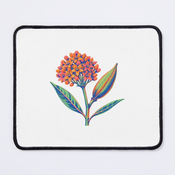 Item preview, Butterfly Weed Seedpod designed and sold by The-Art-of-D.