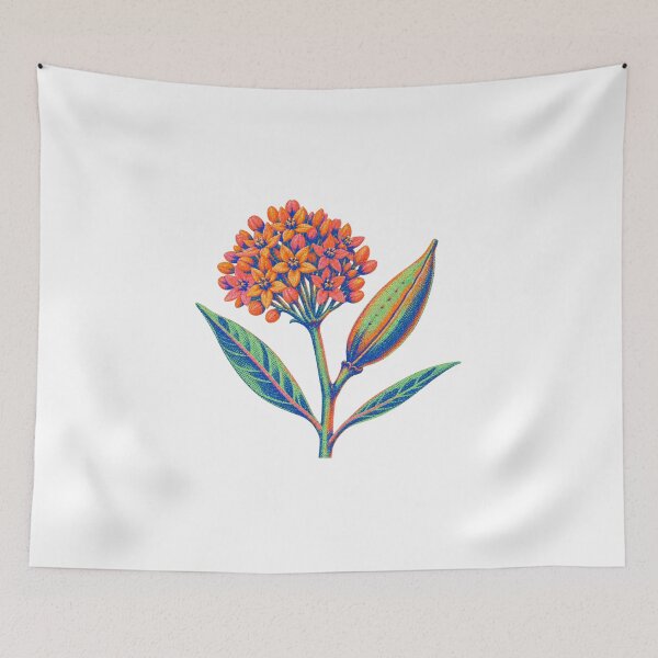 Item preview, Butterfly Weed Seedpod designed and sold by The-Art-of-D.