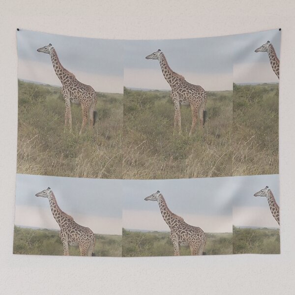 Item preview, A giraffe in the wild at Nairobi National Park.  designed and sold by Jamesk82.