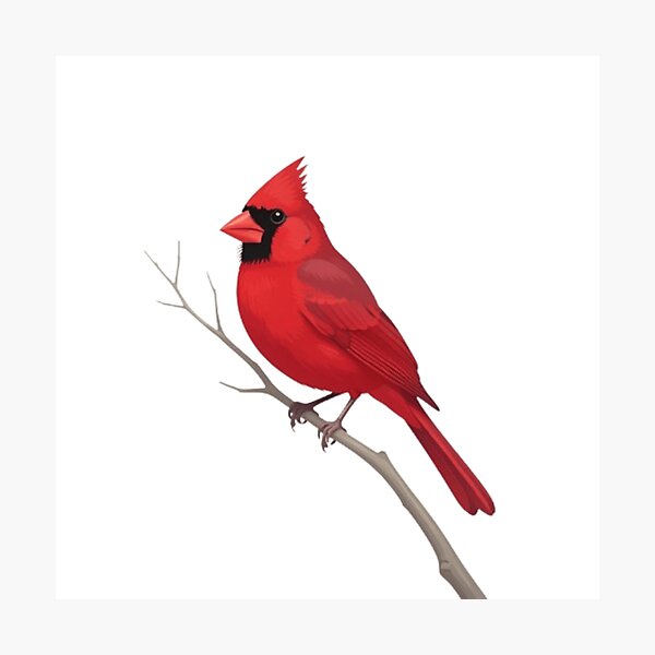 Item preview, Bird on a Branch  designed and sold by Junipurr’s Corner .