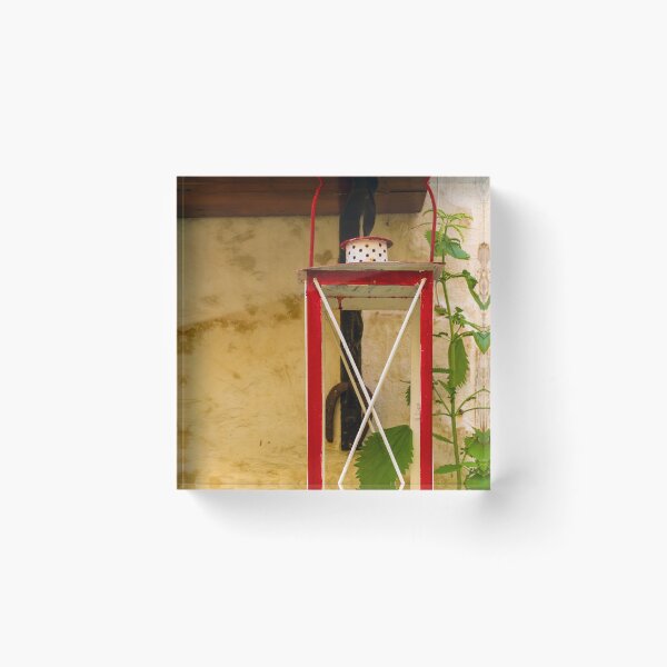Item preview, Red Vintage Lantern Wall Decoration With Small Bear Figurine On Rustic Plaster Wall designed and sold by Nmallia.