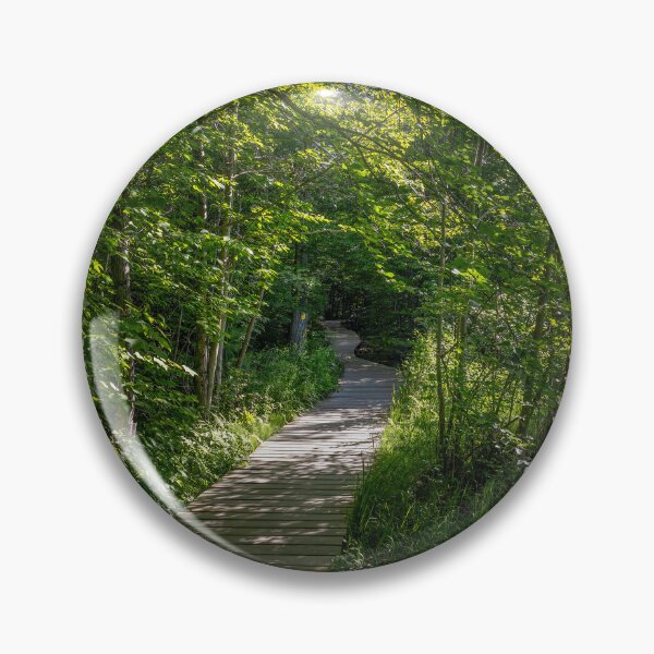 Item preview, Killbear Provincial Park, ON - Scenic Lookout Trail Pathway designed and sold by jrtwynam.