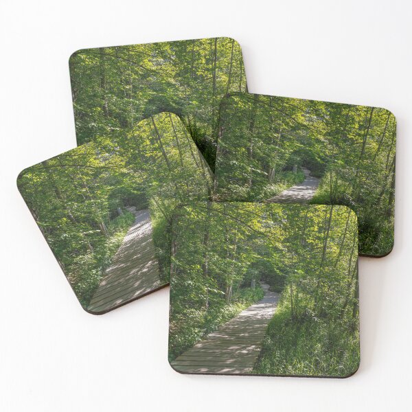 Item preview, Killbear Provincial Park, ON - Scenic Lookout Trail Pathway designed and sold by jrtwynam.