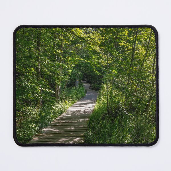 Item preview, Killbear Provincial Park, ON - Scenic Lookout Trail Pathway designed and sold by jrtwynam.