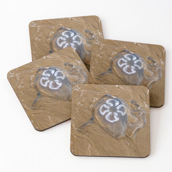 Item preview, Beached Moon Jellyfish on wet golden sand designed and sold by Astute-Artio-Photography.