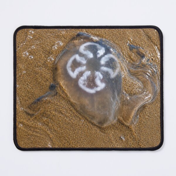 Item preview, Beached Moon Jellyfish on wet golden sand designed and sold by Astute-Artio-Photography.