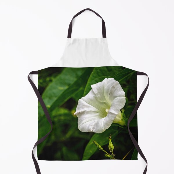 Item preview, Rise and shine bugle designed and sold by Joel Bader.