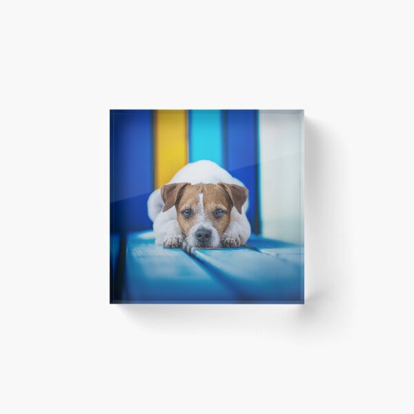 Item preview, Vada designed and sold by Doghmani-Art.