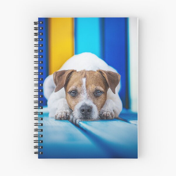 Item preview, Vada designed and sold by Doghmani-Art.
