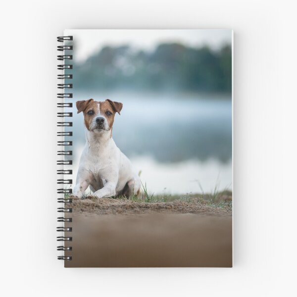 Item preview, Vada designed and sold by Doghmani-Art.