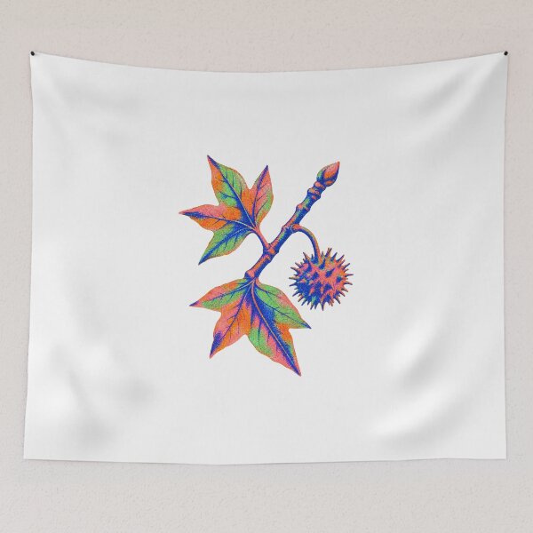 Item preview, Sweetgum Star and Burr designed and sold by The-Art-of-D.