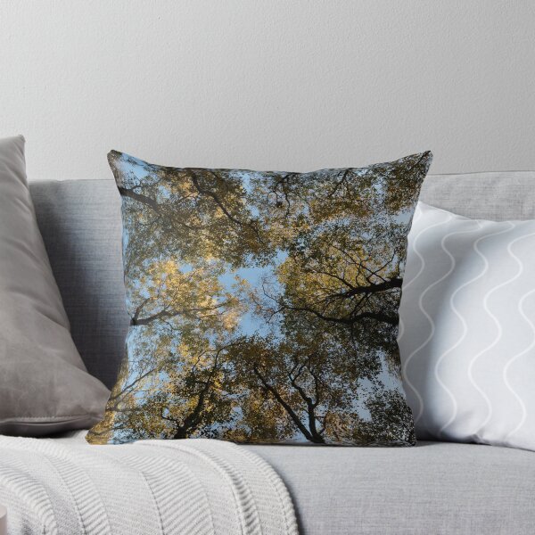 Item preview, autumn birches, delgaty woods designed and sold by codaimages.