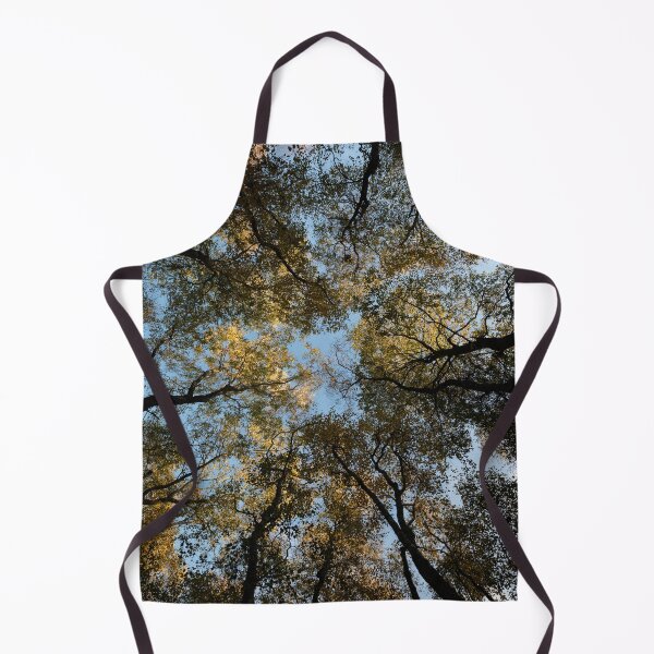 Item preview, autumn birches, delgaty woods designed and sold by codaimages.