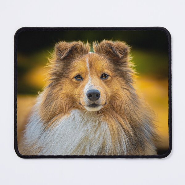 Item preview, Sheltie designed and sold by Doghmani-Art.
