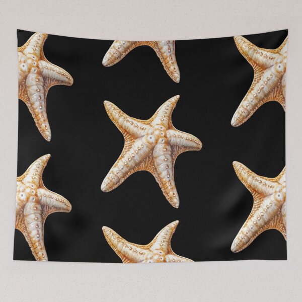 Item preview, Single Starfish designed and sold by virdeiz.