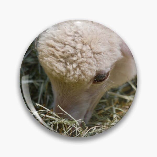 Item preview, Little Lamb Grazing designed and sold by richardbryce.