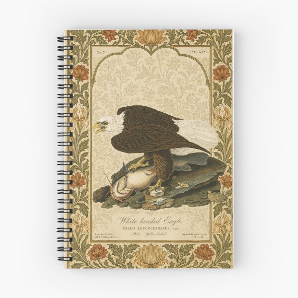 Item preview, Bald Eagle (White-Headed Eagle) — Audubon Arts & Crafts Bird Print designed and sold by kornkobart.