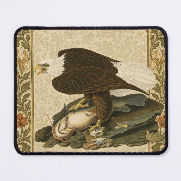 Item preview, Bald Eagle (White-Headed Eagle) — Audubon Arts & Crafts Bird Print designed and sold by kornkobart.