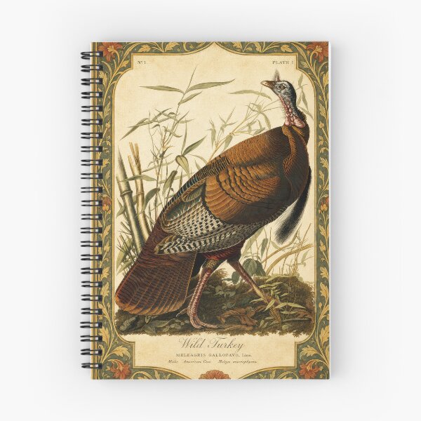 Item preview, Wild Turkey — Audubon Arts & Crafts Bird Print designed and sold by kornkobart.