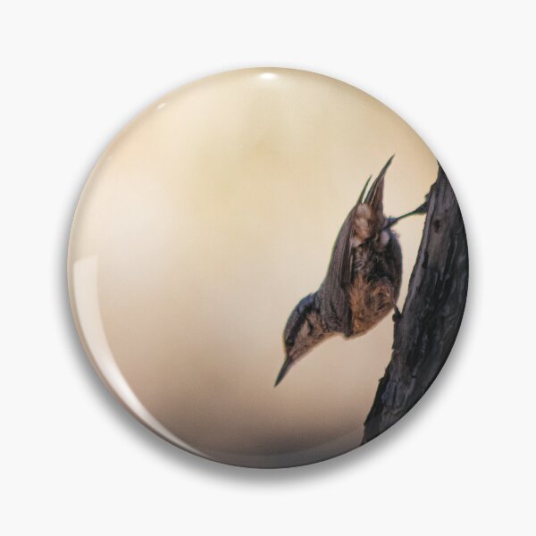 Item preview, Sitta europaea (Eurasian Nuthatch) designed and sold by FBBFoto.