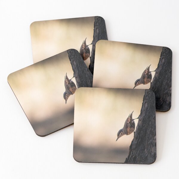 Item preview, Sitta europaea (Eurasian Nuthatch) designed and sold by FBBFoto.