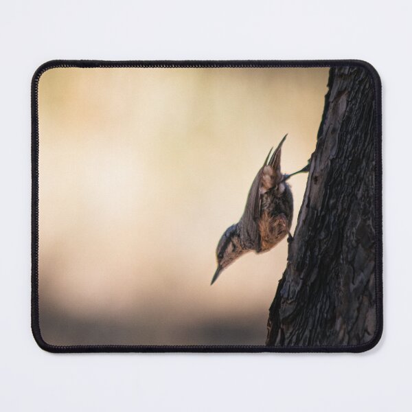 Item preview, Sitta europaea (Eurasian Nuthatch) designed and sold by FBBFoto.