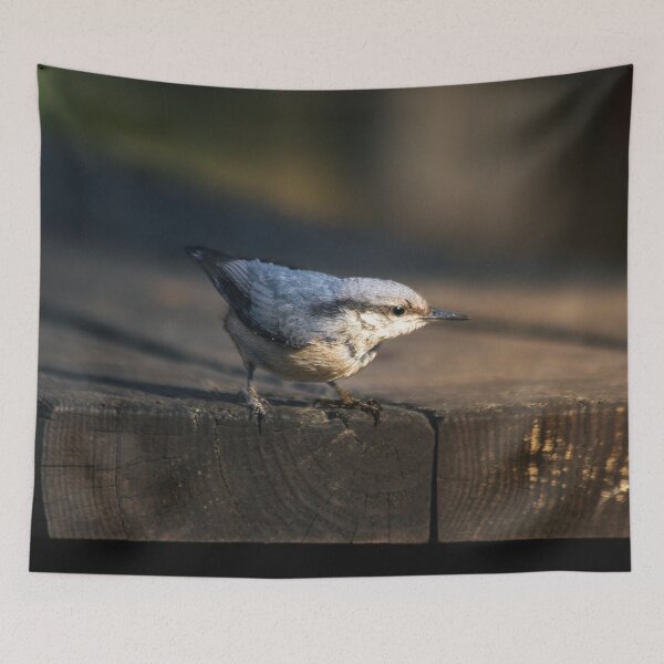 Item preview, Sitta Europaea (European Nuthatch) designed and sold by FBBFoto.