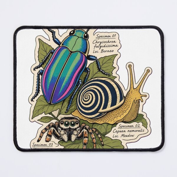 Item preview, Beetle and Snail Study | Cute Jumping Spider Arachnid Doodle designed and sold by StickyGuys.