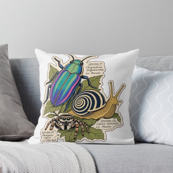 Item preview, Beetle and Snail Study | Cute Jumping Spider Arachnid Doodle designed and sold by StickyGuys.