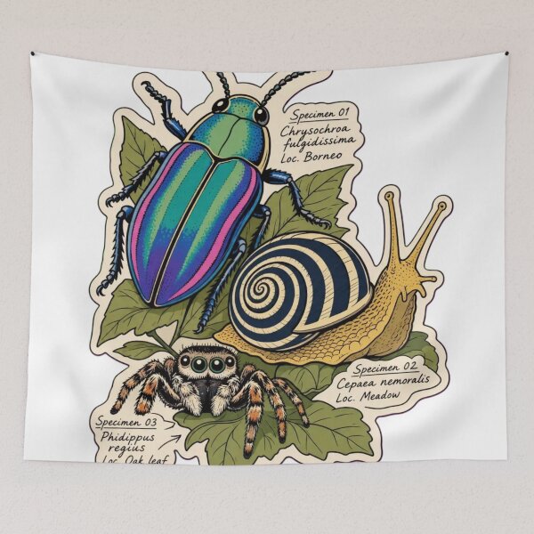 Item preview, Beetle and Snail Study | Cute Jumping Spider Arachnid Doodle designed and sold by StickyGuys.