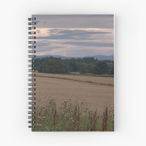Item preview, 2026-08-12 Partial Solar Eclipse: Light on Landscape designed and sold by ShinyPhoto.