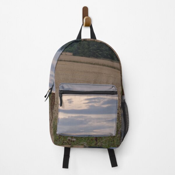 Item preview, 2026-08-12 Partial Solar Eclipse: Light on Landscape designed and sold by ShinyPhoto.